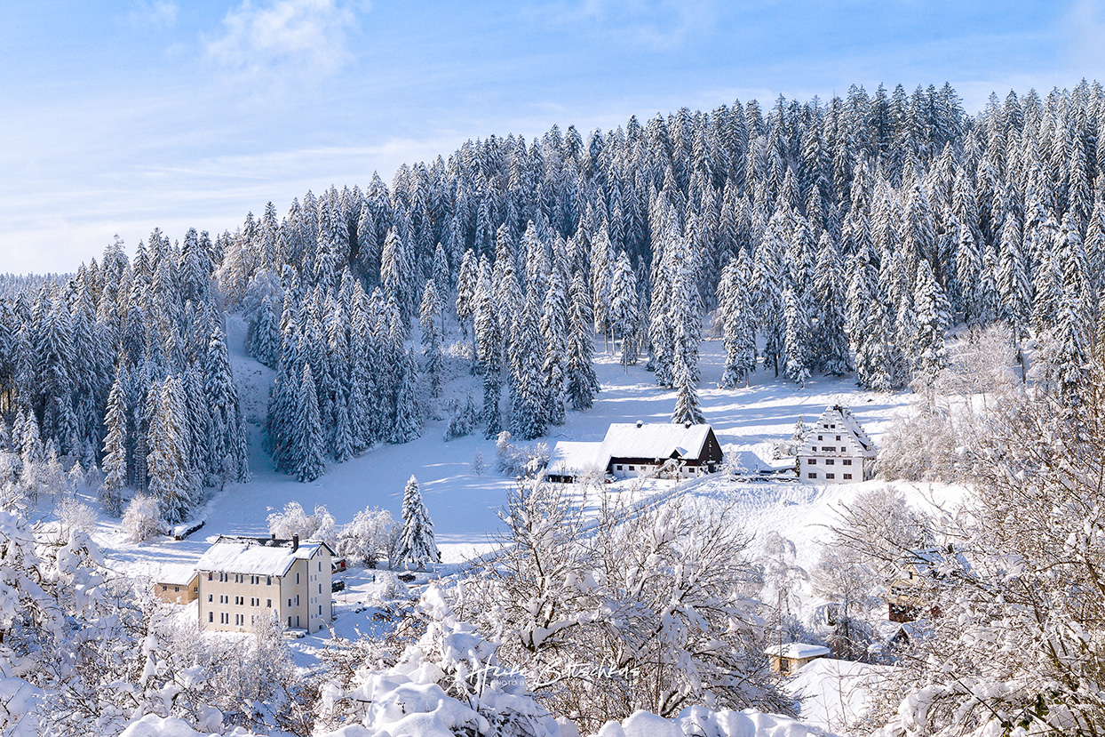 Foto Freudenstadt, Winter, Bärenschlössle