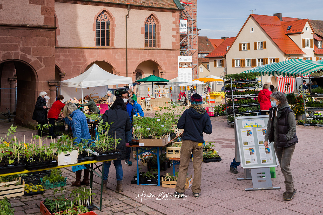 Foto Freudenstadt, Samstagsmarkt, Stadtkirche, Mai