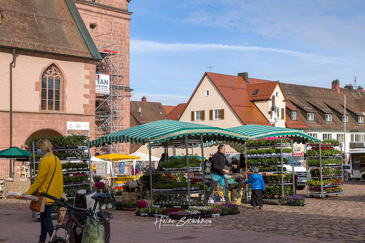 Foto Freudenstadt, Samstagsmarkt, Stadtkirche, Mai