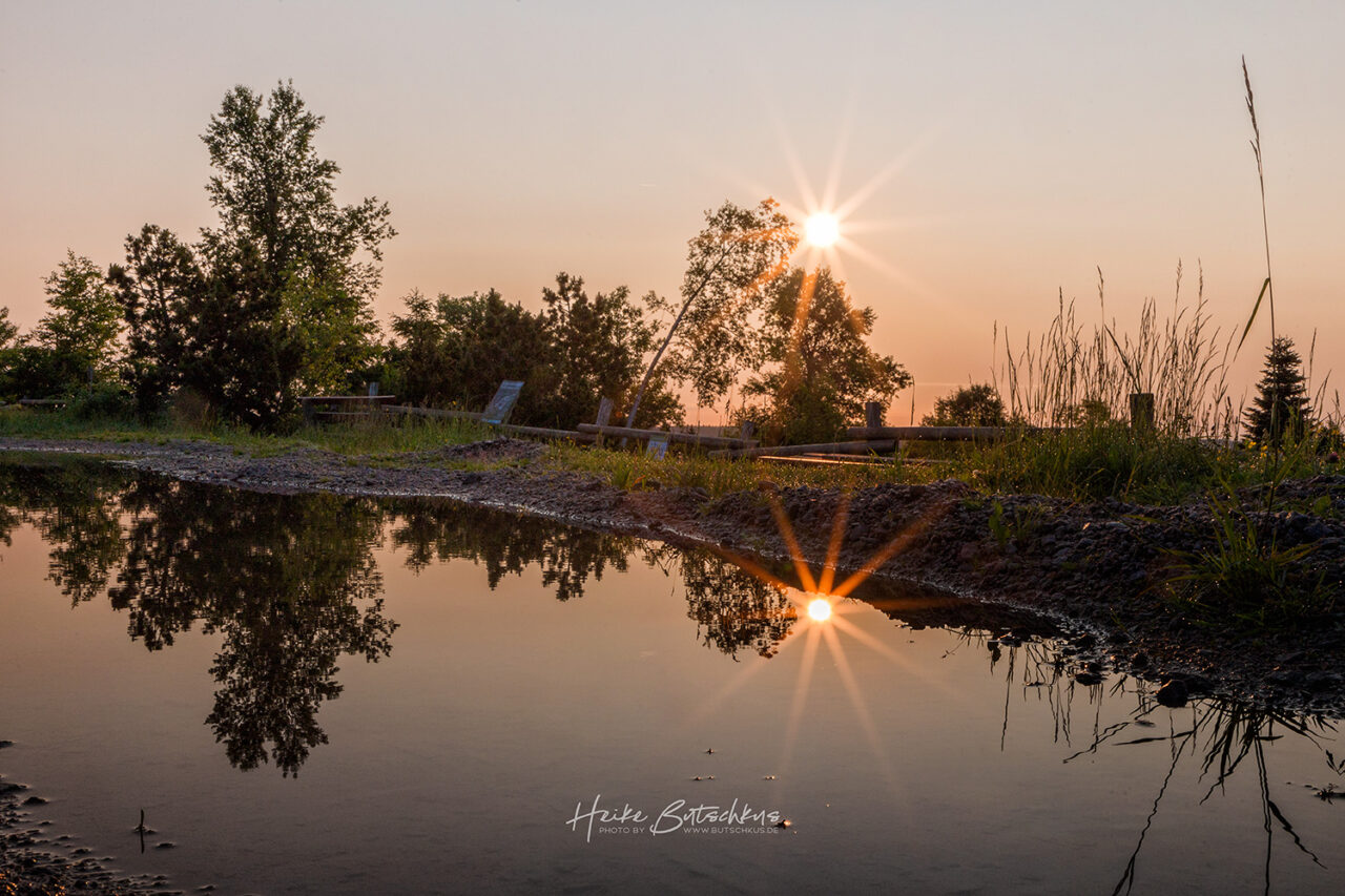 Sonnenaufgang, Sonne spiegelt sich in einer Pfütze